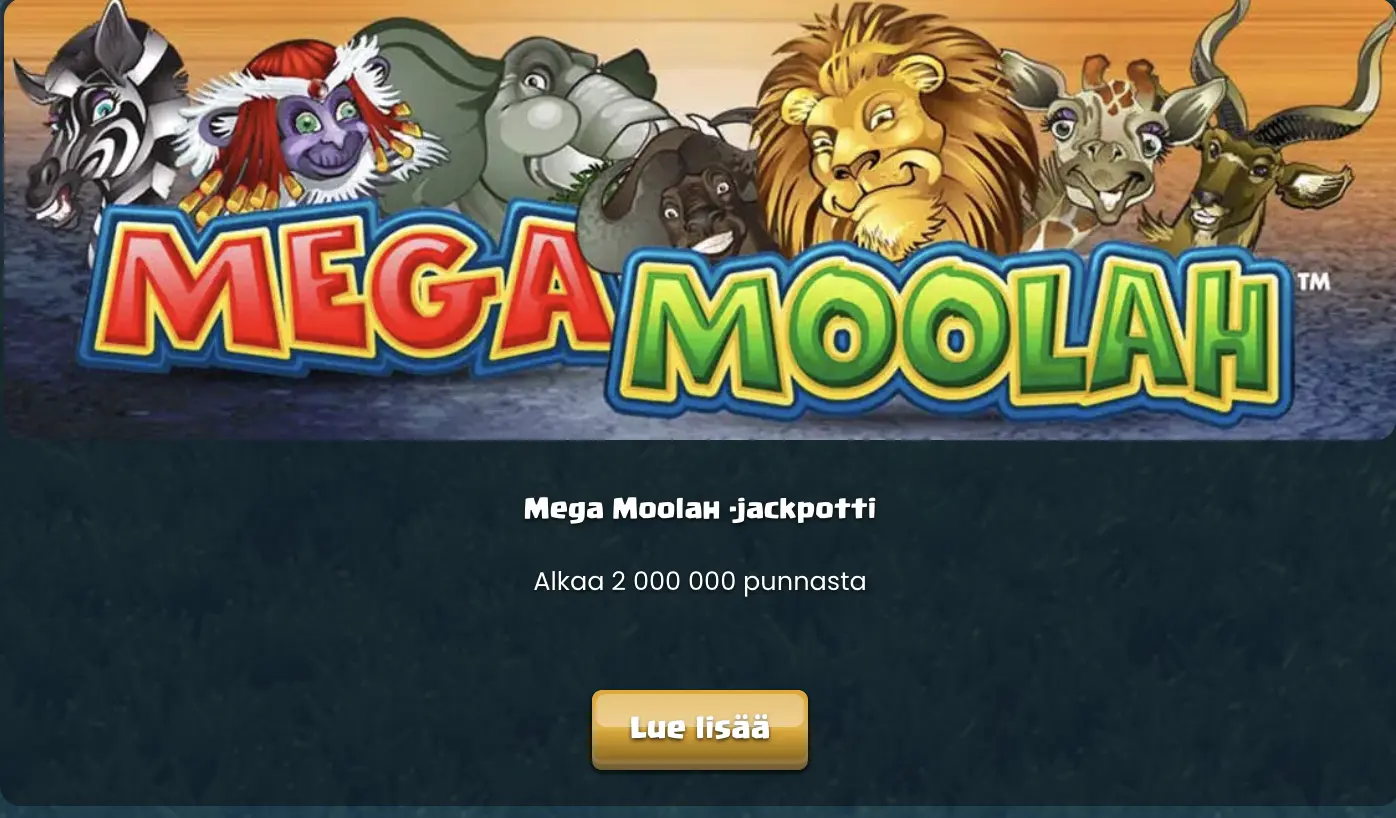 Duelz jackpot